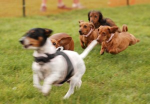 6798754896_97932b4d78