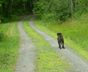 DSCN1362 - Version 2