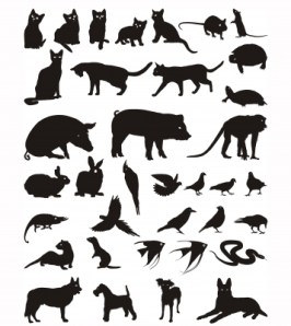 All animals illustration ID-10040124