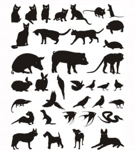 All animals illustration ID-10040124