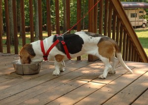 567089635_de0fba56ec