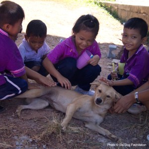 children and thailand dog